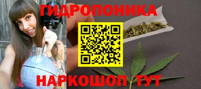 гашиш Кингисепп