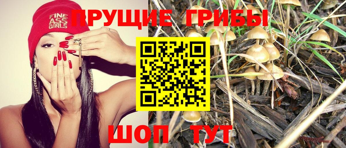  Кокаин Кингисепп
