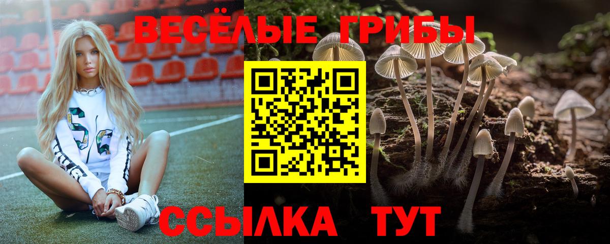 Псилоцибиновые грибы мицелий  Вход с VPN  Кингисепп  Галлюциногенные грибы MAGIC MUSHROOMS 