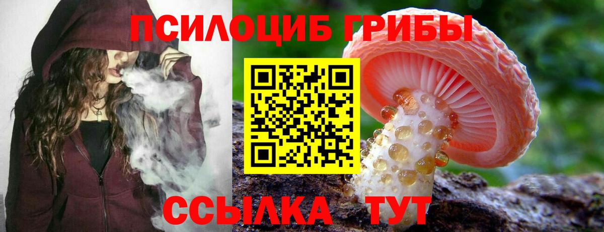 Галлюциногенные грибы Cubensis Кингисепп